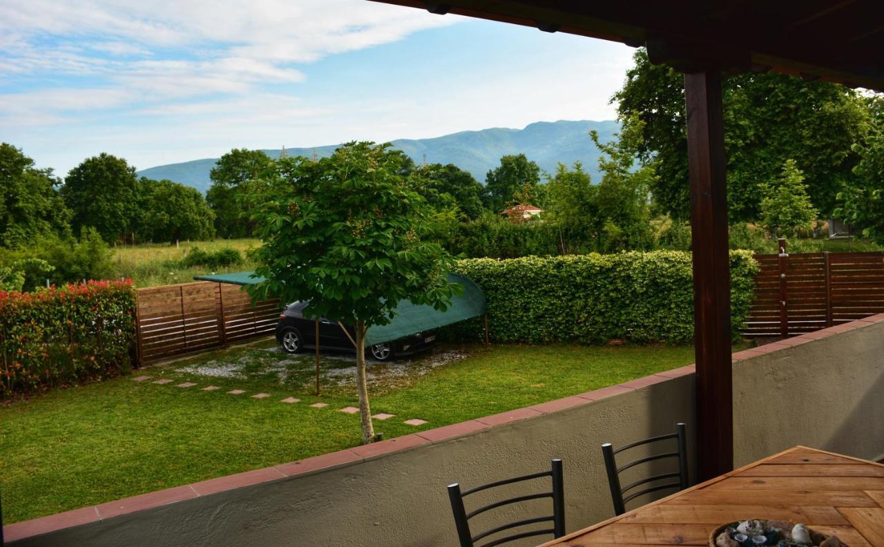 Relax House S Villa Leptokarya  Bagian luar foto